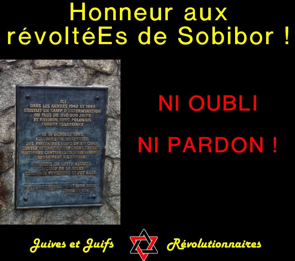 12119959_904266052976508_2435432433291481081_o